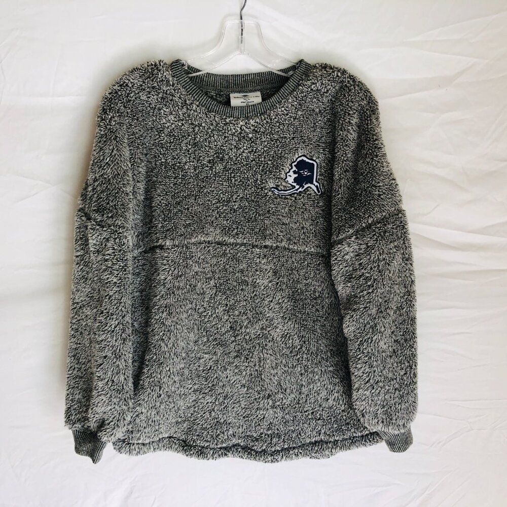 Disney Cruise Line Spirit Jersey Size XS Cozy Sherpa Fleece Pullover Sweatshirt - Picture 2 of 5